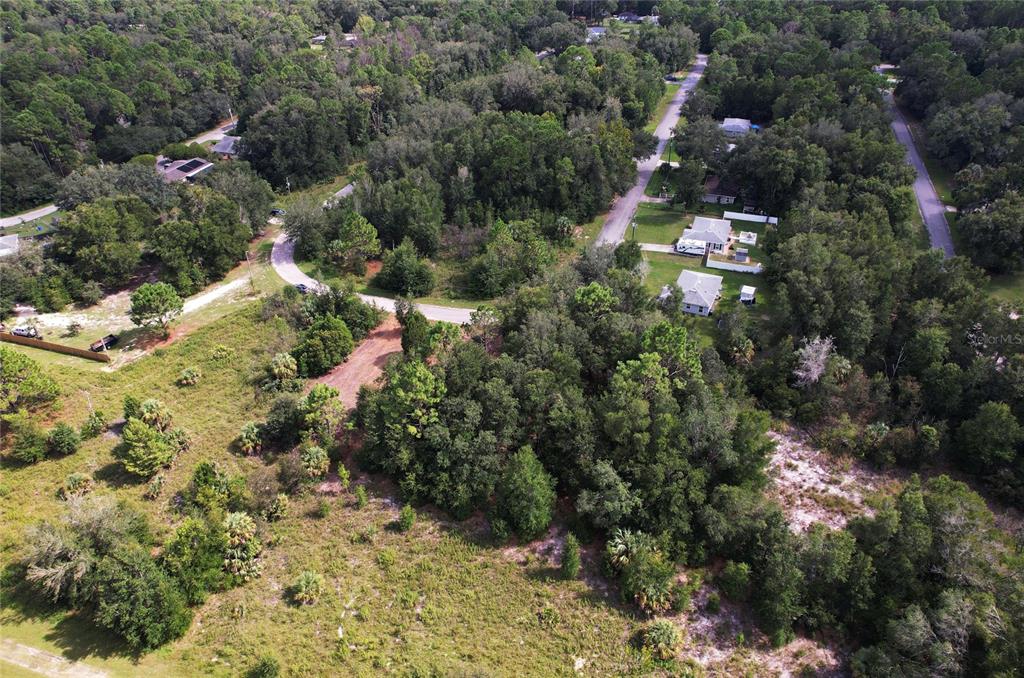 8750 N CATAPANE LOOP, CRYSTAL RIVER, FL — photo 5 of 5