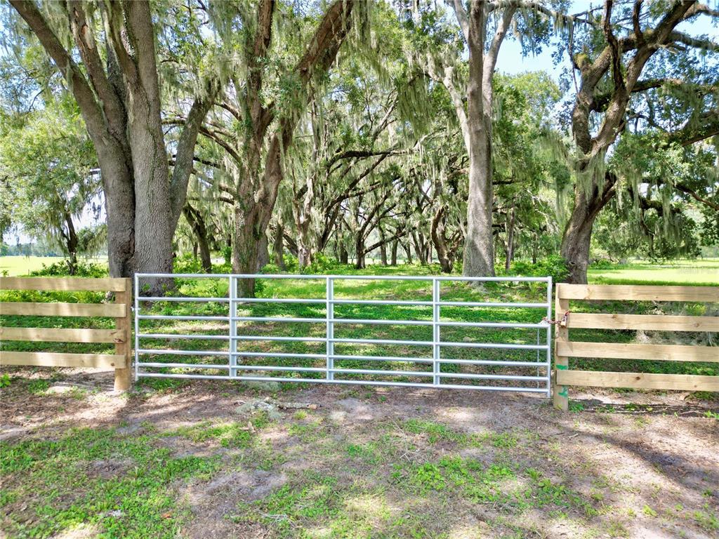 A metal farm gate sits between two wooden fences in front of a wooded area — 00 C-478 W, WEBSTER, FL