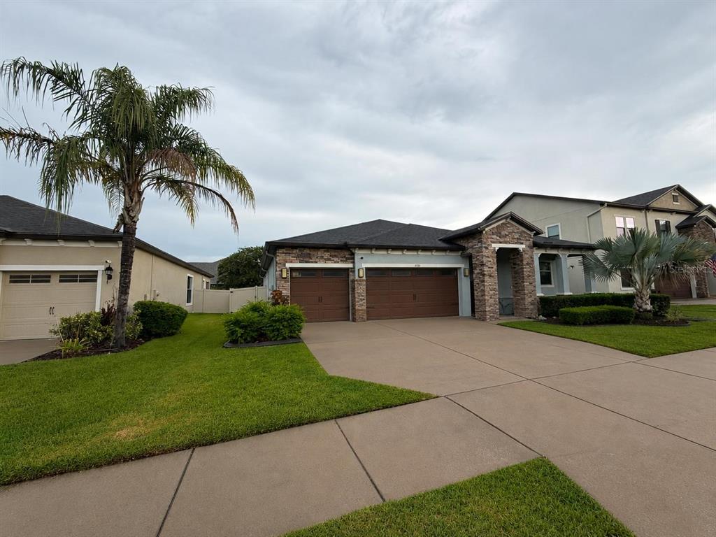 A single-story house with a three-car garage, stone accents, and a palm tree in front — 1880 TONKA TERRACE, WESLEY CHAPEL, FL