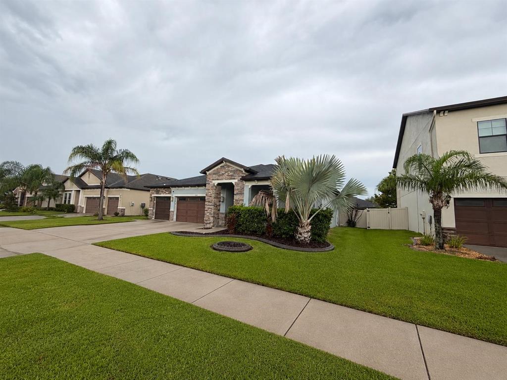 A single-story suburban house with a stone facade, palm trees, and a green lawn — 1880 TONKA TERRACE, WESLEY CHAPEL, FL