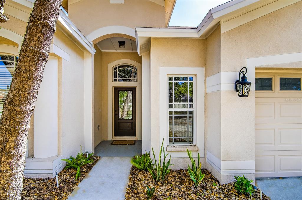 The exterior entrance of a house features a tan stucco facade, a dark front door, and a garage — 6002 MARTINGLADE PLACE, LITHIA, FL