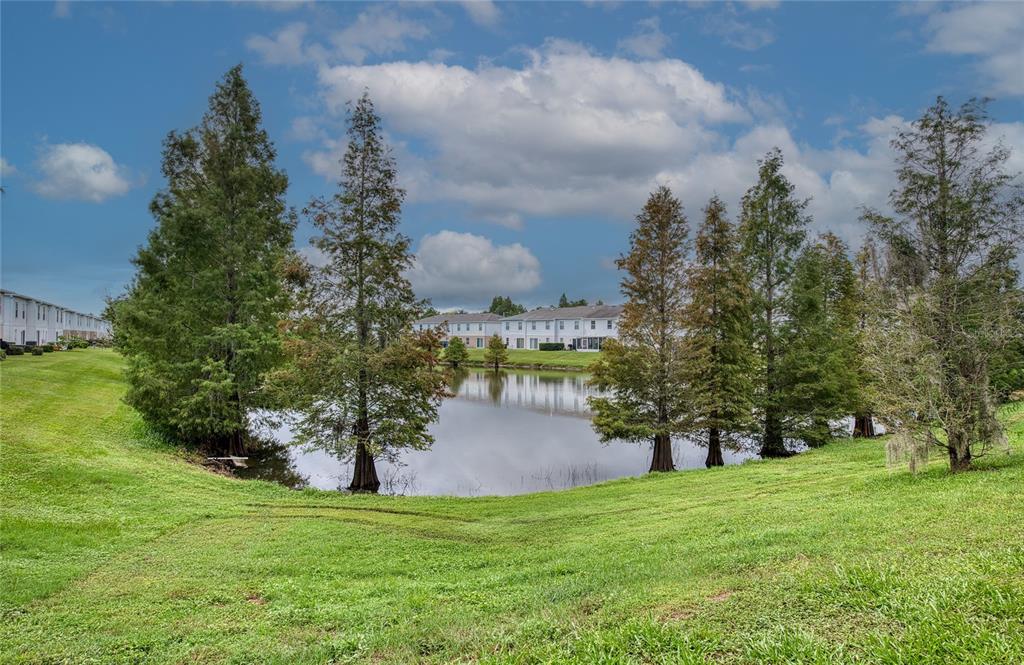 4729 ASHBURN POND WAY, TAMPA, FL — photo 3 of 30