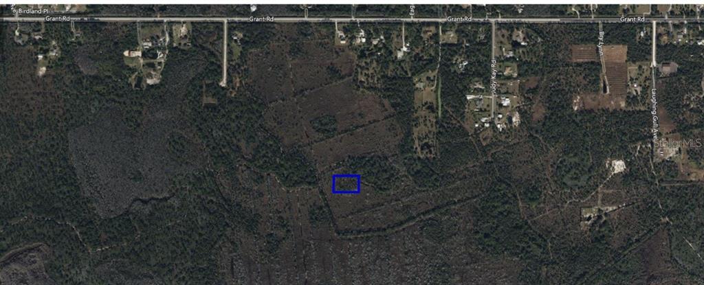 This is an aerial map showing a rectangular plot of land highlighted in blue — NO NAME, GRANT, FL