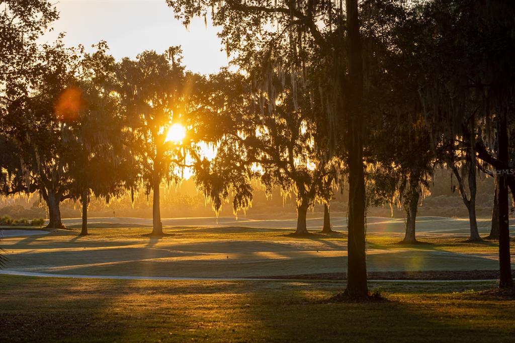 A sunlit golf course view framed by large trees with hanging Spanish moss at sunset — NW 31ST LANE ROAD, OCALA, FL