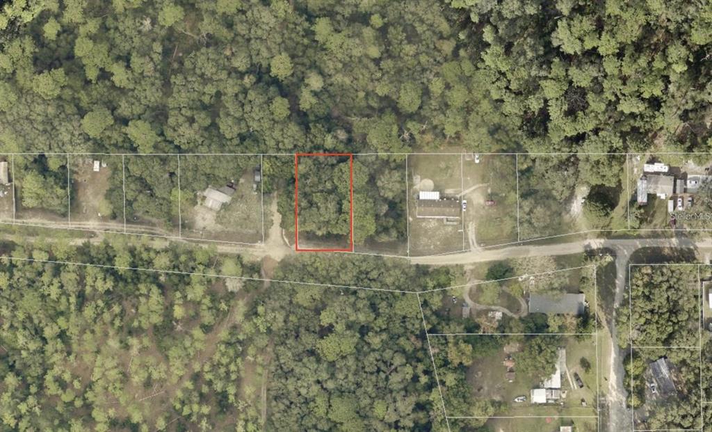 An aerial view shows a rectangular, wooded vacant lot outlined in red along a dirt road — NORTH ROAD, ALTOONA, FL