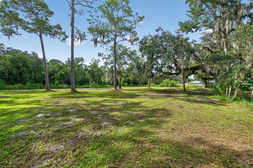 SWAMP LANE, GENEVA, FL — photo 2 of 6