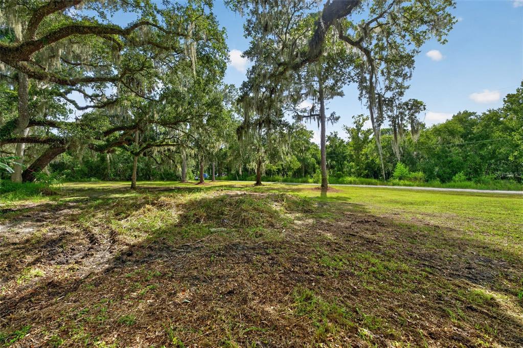 SWAMP LANE, GENEVA, FL — photo 4 of 6