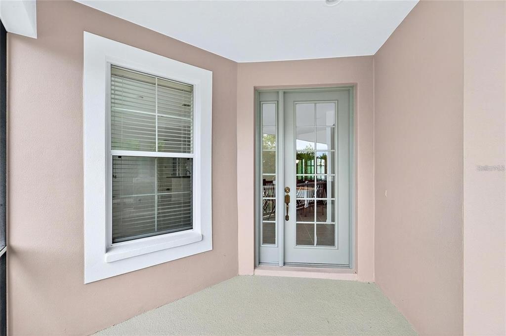 A covered porch features a light-colored door with glass panes and a large window — 209 SELA COVE CIRCLE, APOLLO BEACH, FL