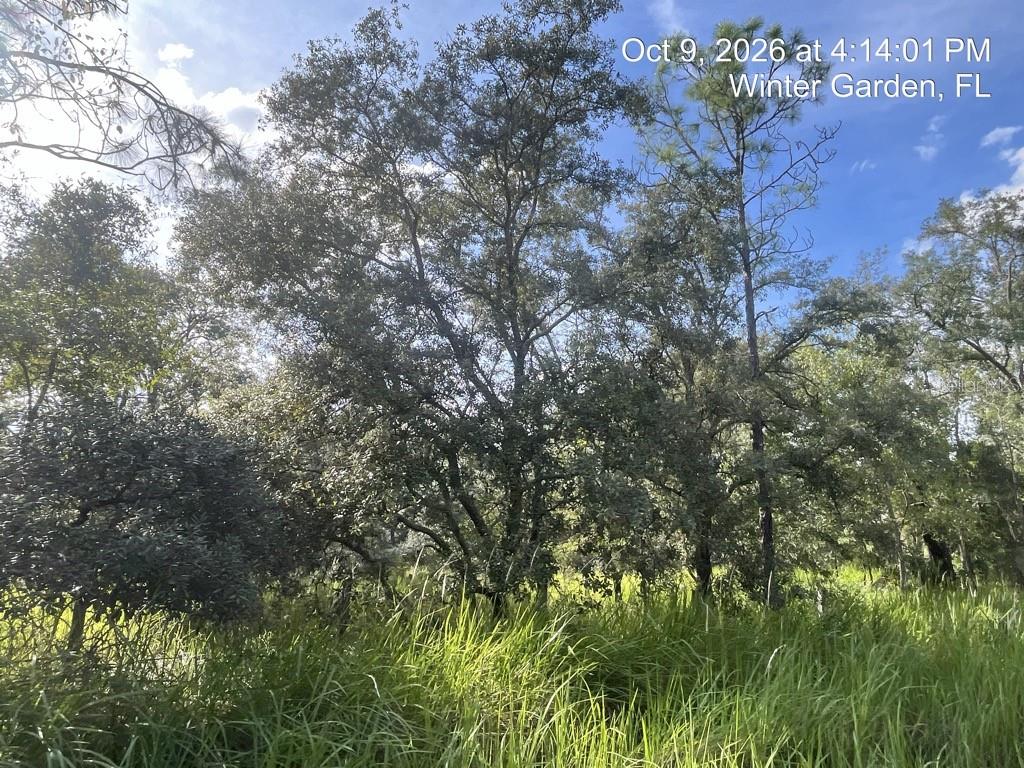 9901 AVALON WOODS DRIVE, WINTER GARDEN, FL — photo 2 of 2