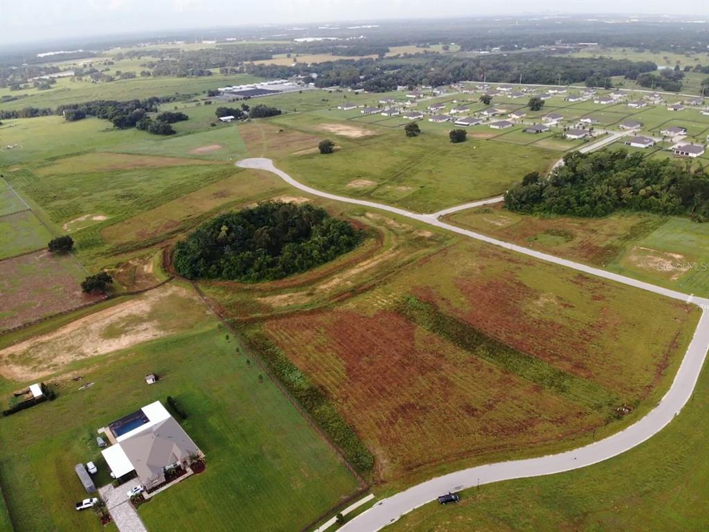 An aerial view shows a residential lot with a circular wooded area and nearby houses — 11625 SPOONBILL RUN DRIVE, THONOTOSASSA, FL
