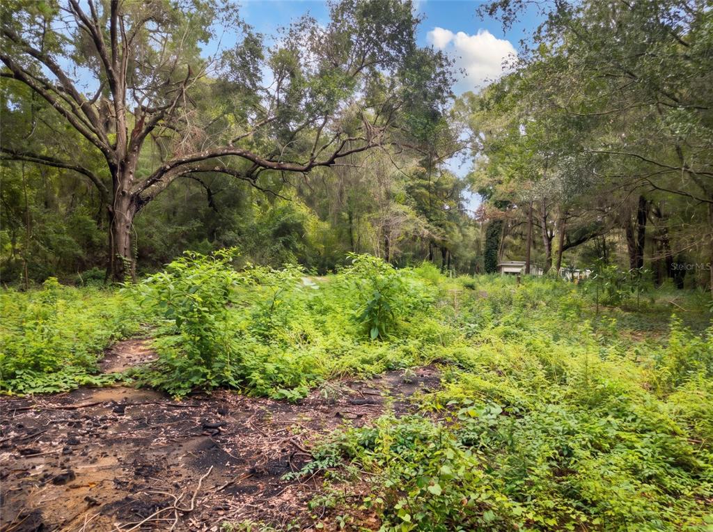 5900 NW 190TH STREET, REDDICK, FL — photo 5 of 19