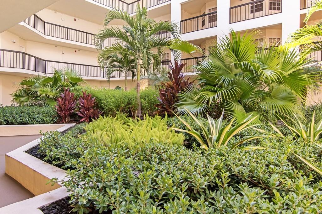 A landscaped courtyard with palm trees and tropical plants sits between multi-story apartment building balconies — 1002 S HARBOUR ISLAND BOULEVARD UNIT 1101, TAMPA, FL