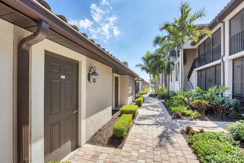 A paved walkway leads past a brown door and manicured hedges toward palm trees — 5624 PALMER CIRCLE UNIT 105, BRADENTON, FL