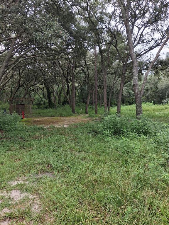 A wooded lot features a concrete slab and a small wooden structure with a trellis — 7484 SW 150TH STREET, DUNNELLON, FL