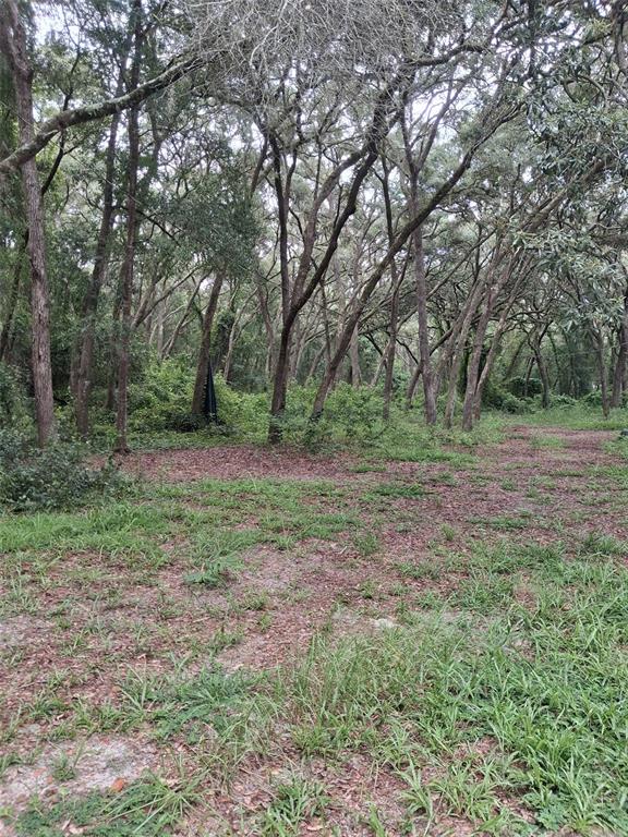A wooded lot with scattered grass and leaf litter under a canopy of tall trees — 7484 SW 150TH STREET, DUNNELLON, FL