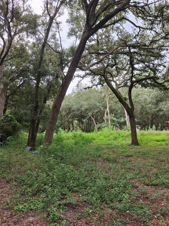 A wooded lot with several large oak trees and patches of green ground cover — 7484 SW 150TH STREET, DUNNELLON, FL