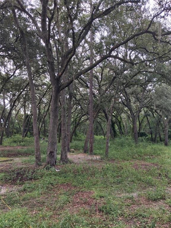 A wooded lot with mature oak trees and patches of low-lying vegetation — 7484 SW 150TH STREET, DUNNELLON, FL