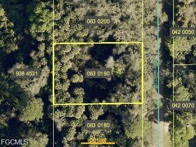715 GLENN AVENUE, LEHIGH ACRES, FL — photo 2 of 2