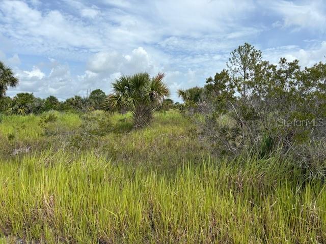 A grassy, undeveloped lot features scattered palm trees and shrubs under a cloudy blue sky — 2239 UTOPIA AVENUE SW, PALM BAY, FL