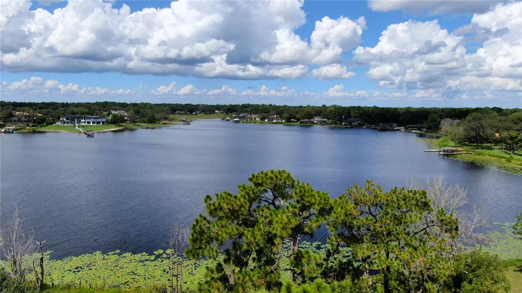 An aerial view of a lake surrounded by trees, houses, and lily pads — LAKE MARKHAM ROAD, SANFORD, FL