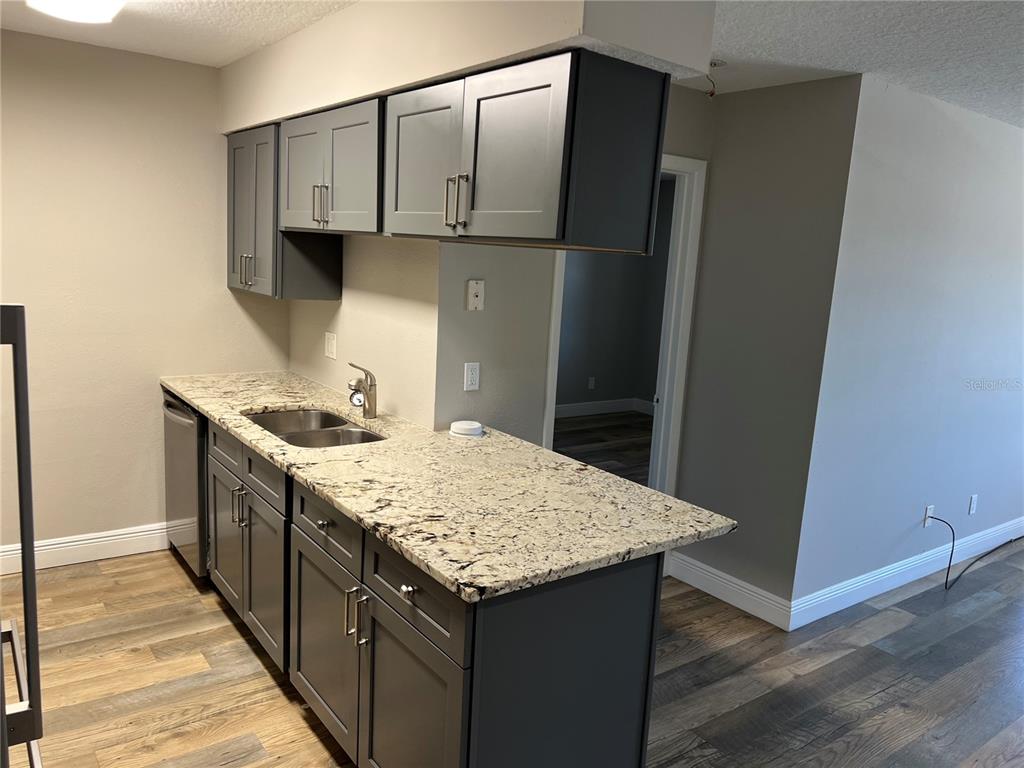 A kitchen features dark gray cabinets, granite countertops, and wood-look flooring — 208 RED CEDAR PLACE UNIT 208, BRANDON, FL