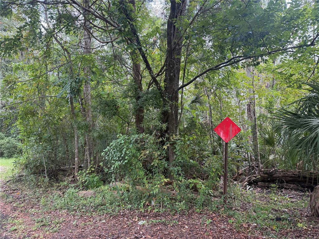 10103 W MAIN STREET, HOMOSASSA, FL — photo 2 of 3