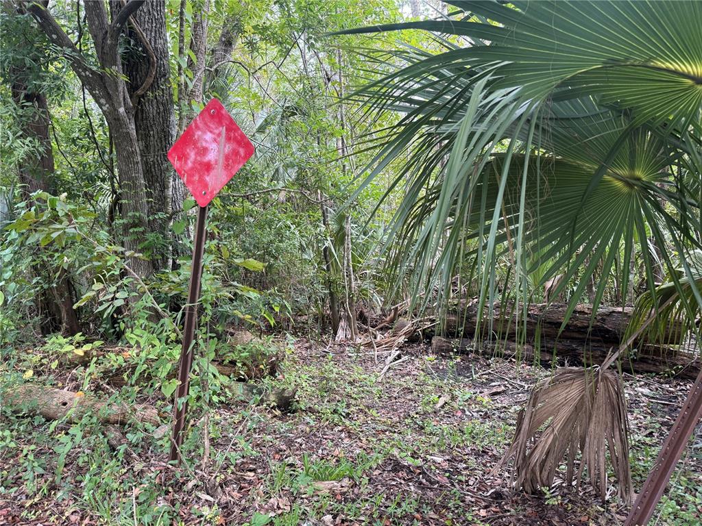 10103 W MAIN STREET, HOMOSASSA, FL — photo 3 of 3