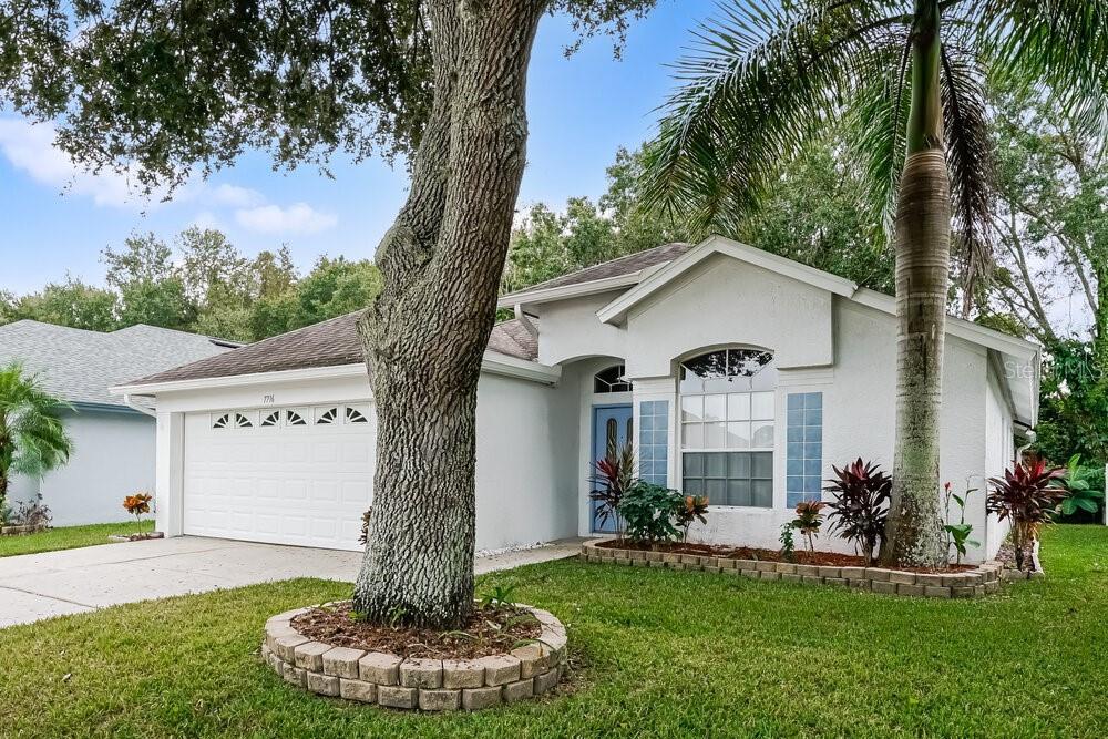 7716 MARBELLA CREEK AVENUE, TAMPA, FL — photo 3 of 18