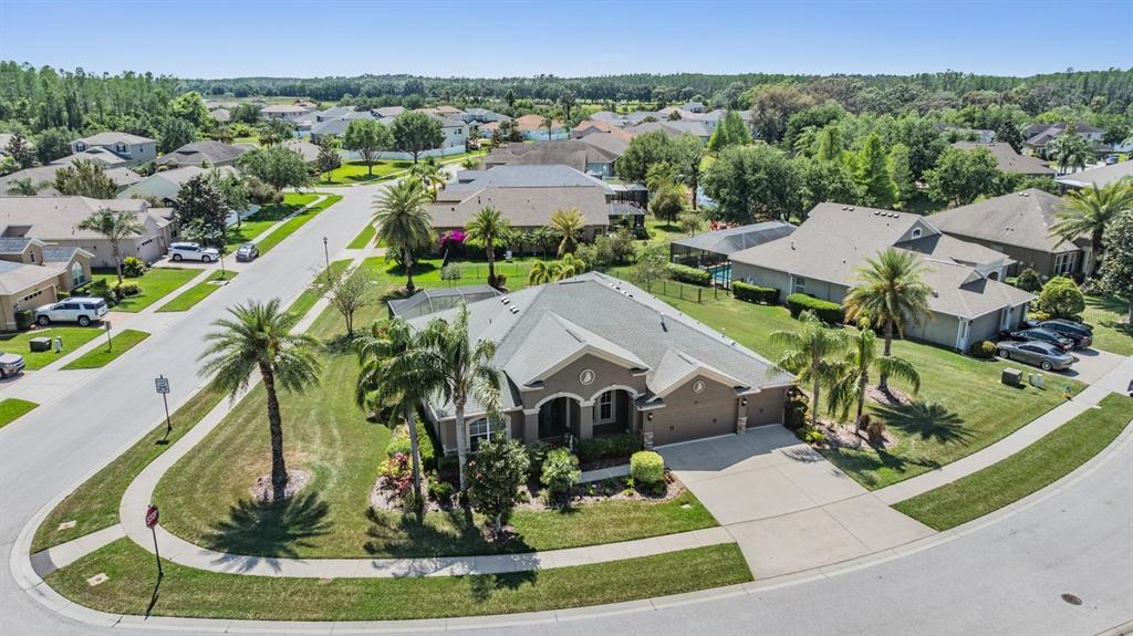 An aerial view of a suburban house with a gray roof and palm trees — 8721 CRYSTAL CREEK COURT, LAND O LAKES, FL