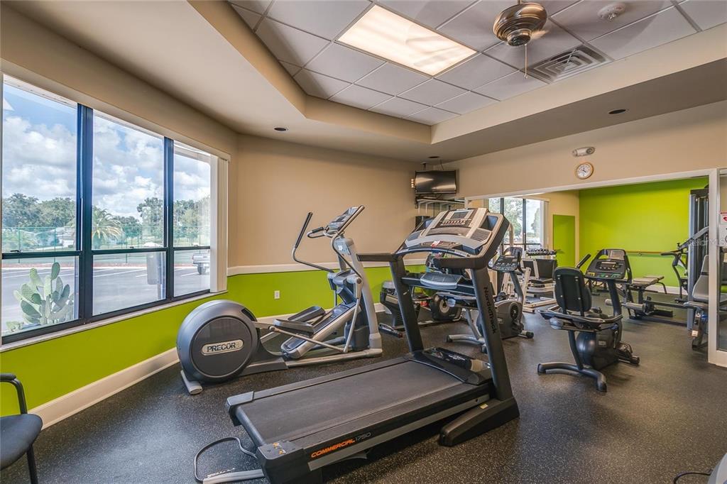 A fitness room features a treadmill, elliptical machine, stationary bike, and large windows with outdoor views — 5909 CORMORANT COURT, LAKELAND, FL
