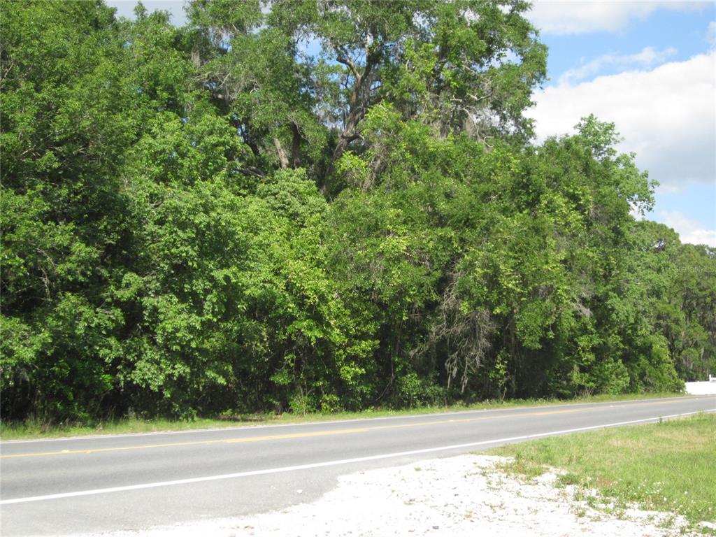 A paved road runs alongside a dense, wooded area with mature trees — 7229 E HIGHWAY 25 HIGHWAY, BELLEVIEW, FL
