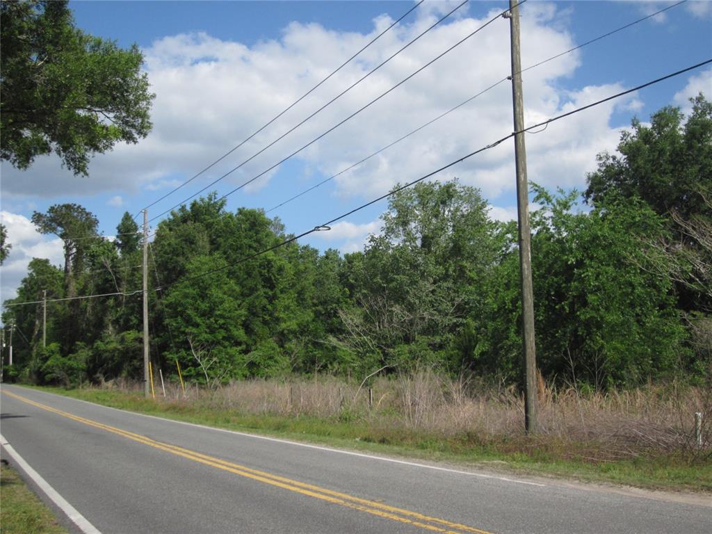 A paved road runs alongside a wooded lot with utility poles and overhead power lines — 7229 E HIGHWAY 25 HIGHWAY, BELLEVIEW, FL