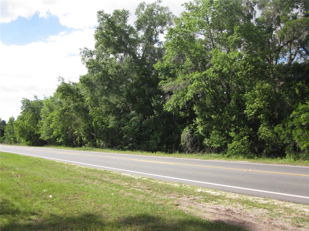 A paved road runs alongside a dense line of trees under a partly cloudy sky — 7229 E HIGHWAY 25 HIGHWAY, BELLEVIEW, FL