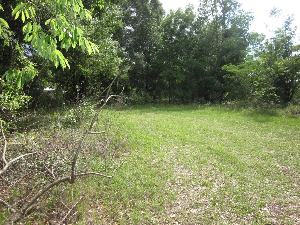 A grassy, partially cleared lot is surrounded by dense trees and foliage — 7229 E HIGHWAY 25 HIGHWAY, BELLEVIEW, FL