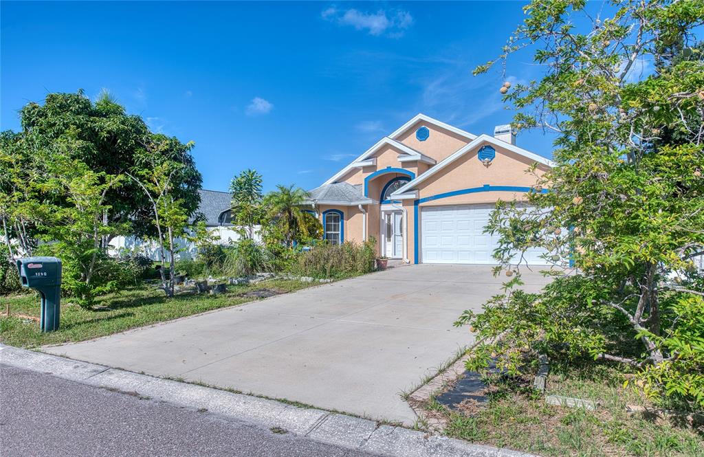 A single-story house with a beige stucco exterior, blue trim, and a concrete driveway — 1150 OAKWOOD DRIVE, DUNEDIN, FL