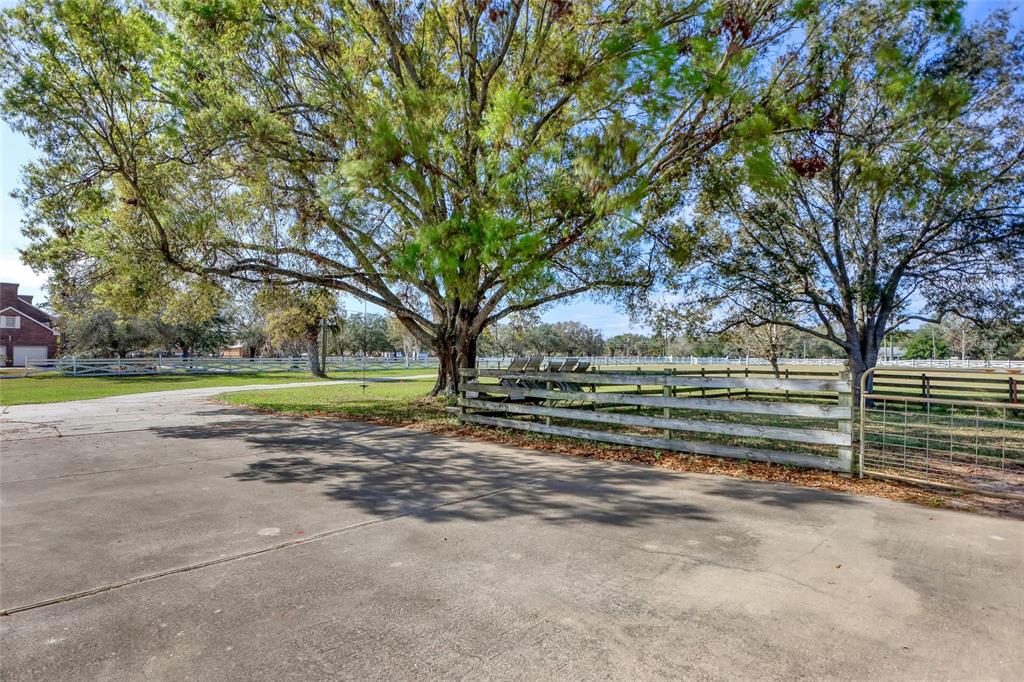 A concrete driveway leads to a wooden fence and large trees on a sunny day — 5005 HIGHWAY 1, MIMS, FL