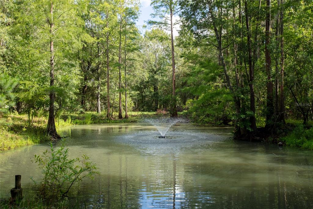A pond with a fountain is surrounded by lush green trees in a wooded area — 9284 NW CR  225, STARKE, FL