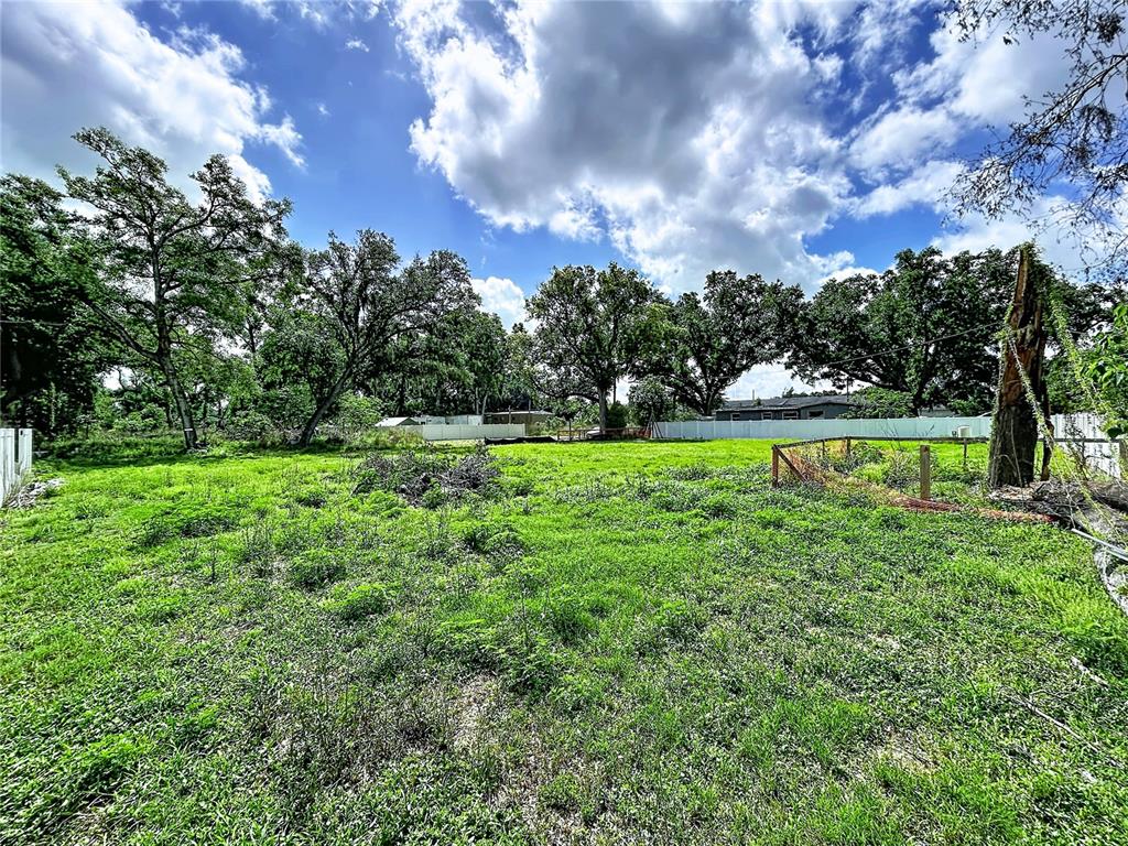 A grassy, undeveloped lot features scattered trees and a white fence in the background — ROBSON, SEFFNER, FL