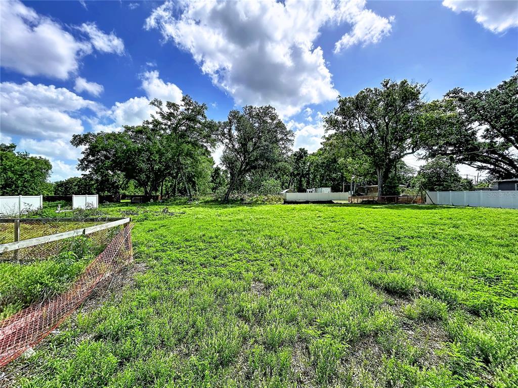 A grassy, fenced-in vacant lot features several large trees under a partly cloudy sky — ROBSON, SEFFNER, FL