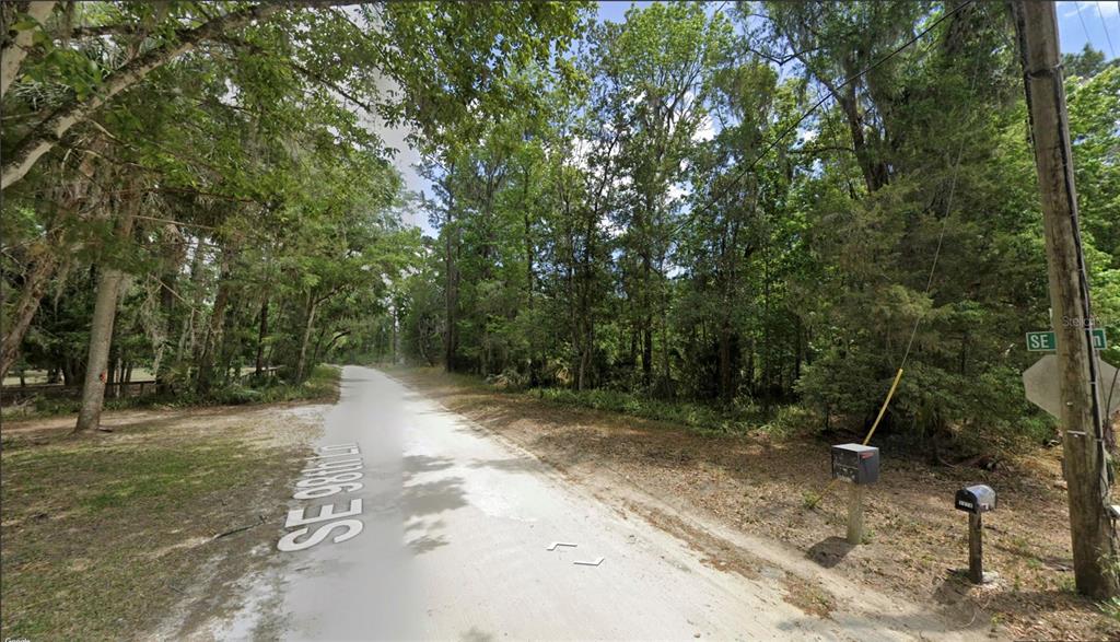 A dirt road winds through a wooded area with two mailboxes on the right side — TBD SE 98TH LANE, BELLEVIEW, FL