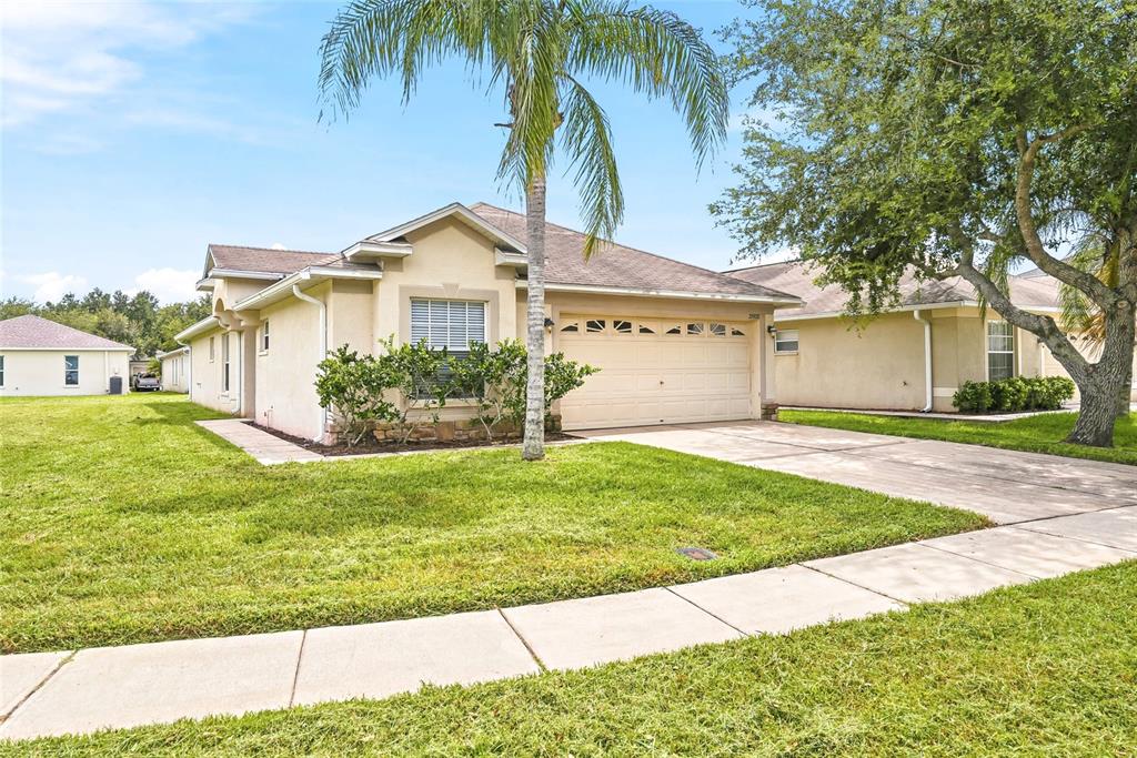 A single-story house with a beige stucco exterior, a two-car garage, and a palm tree — 25928 CRIPPEN DRIVE, LAND O LAKES, FL