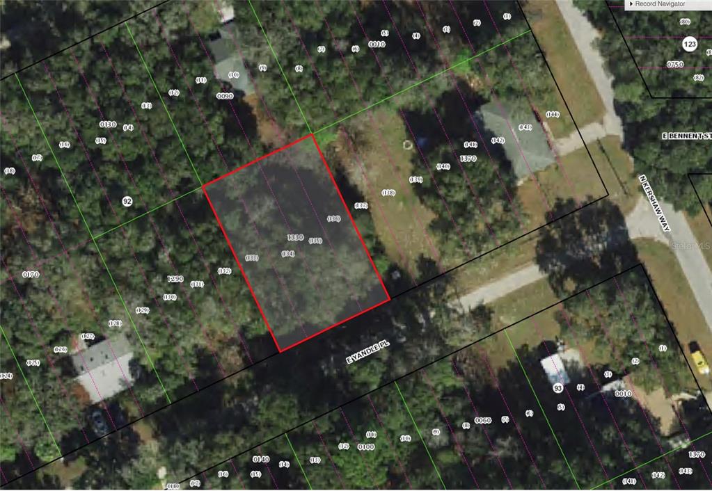 This is an aerial map showing a highlighted rectangular plot of land — 3677 E YANDLE PLACE, INVERNESS, FL