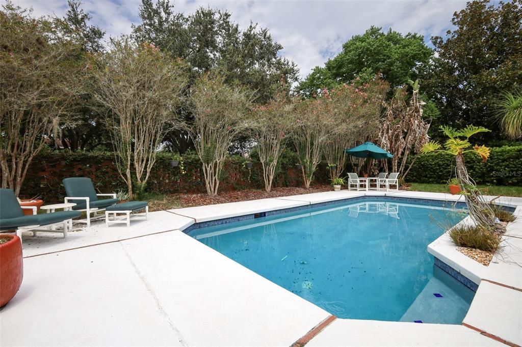 A backyard swimming pool features a white concrete deck, lounge chairs, and a patio umbrella — 4661 N SAINT BRIDES CIRCLE, ORLANDO, FL