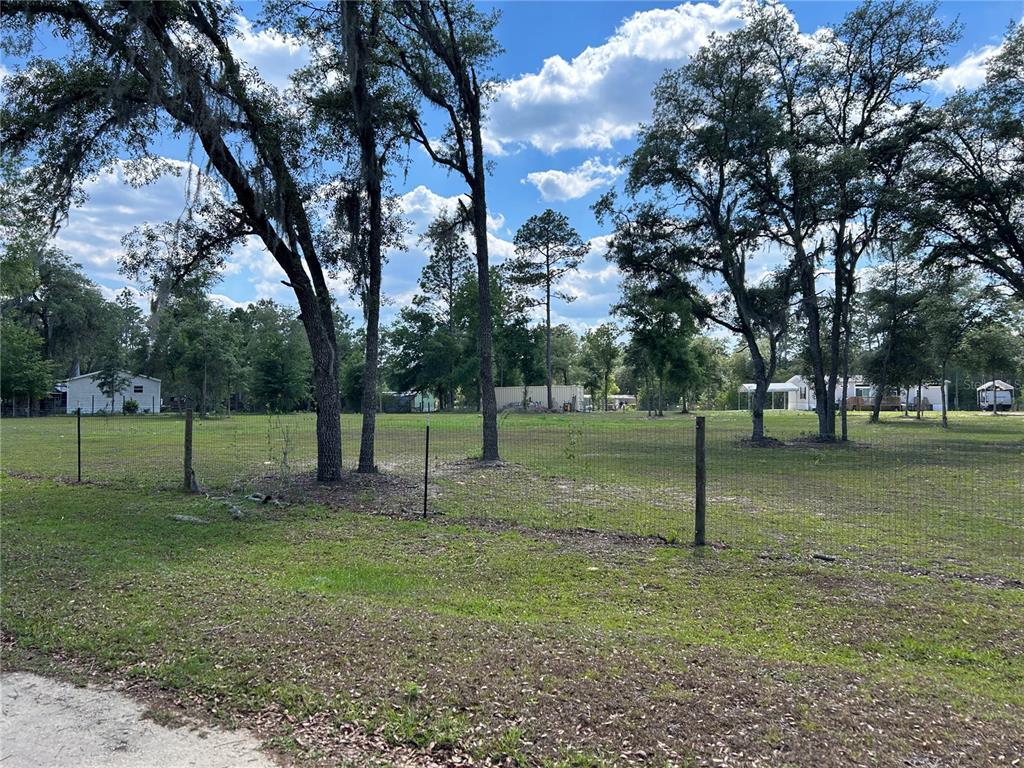 A fenced, grassy lot features several large trees under a blue sky with clouds — TBD NE 123RD AVENUE, WILLISTON, FL