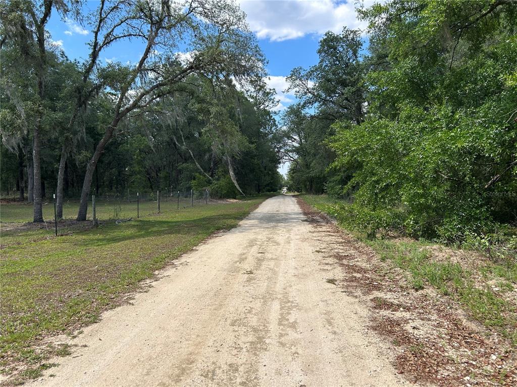 A dirt road stretches through a wooded area with a wire fence on the left — TBD NE 123RD AVENUE, WILLISTON, FL