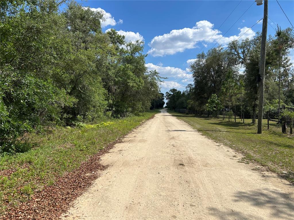 A dirt road stretches into the distance, flanked by dense trees and a utility pole — TBD NE 123RD AVENUE, WILLISTON, FL