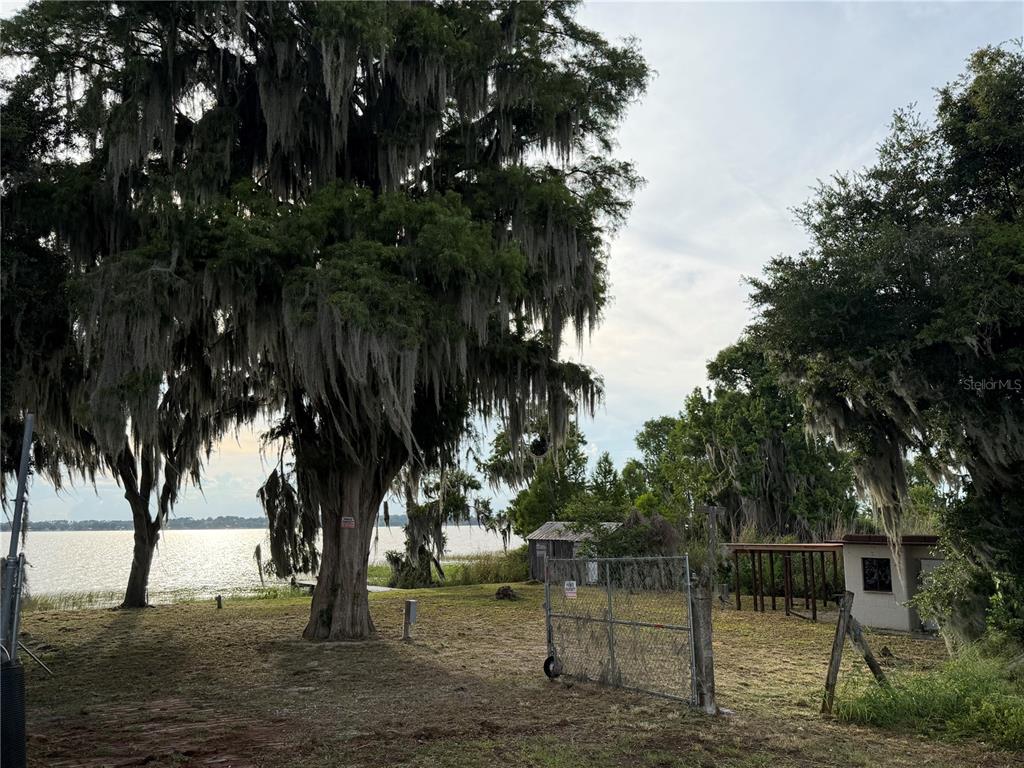 A large tree with Spanish moss stands on a grassy lot overlooking a lake — 12703 CR-48, ASTATULA, FL