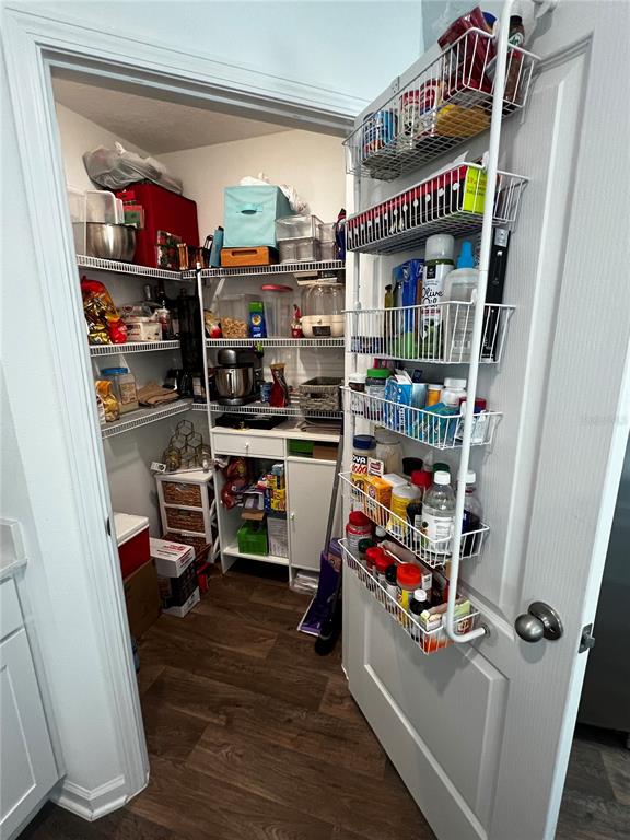 A walk-in pantry features wire shelving and an over-the-door storage rack on a wood floor — 319 ARDILA CIRCLE, ST AUGUSTINE, FL