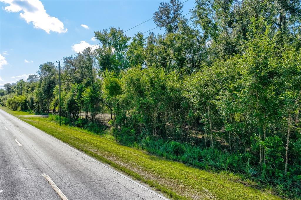 A paved road runs alongside a dense line of trees and a grassy shoulder — BRUTON ROAD, PLANT CITY, FL