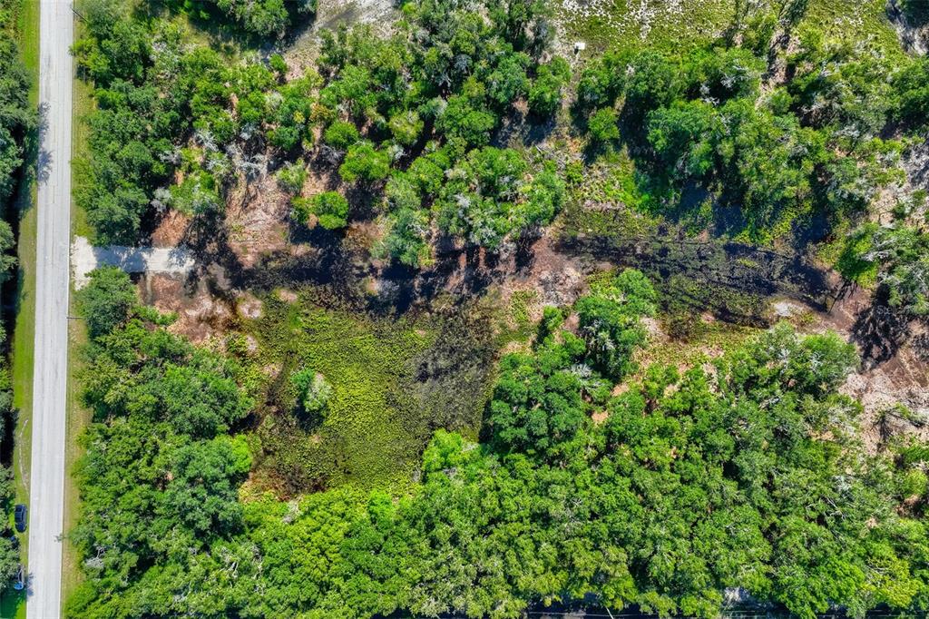 An aerial view shows a wooded lot with a central wetland area and a paved road — BRUTON ROAD, PLANT CITY, FL
